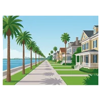 South Tampa illustration